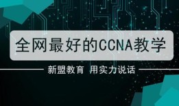 编程小白如何快速入门？新手必备视频教程大揭秘！