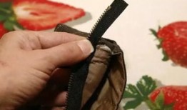 如何修剪圆形短甲？揭秘圆形短甲修剪教程！