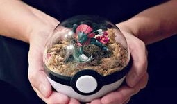 银球球上色技巧揭秘，如何让你的银球球焕发亮丽色彩？