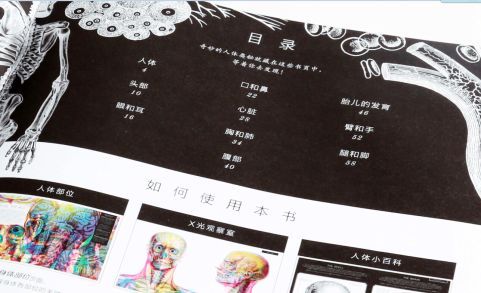 如何打造独特本子外包装？全方位教程揭秘！