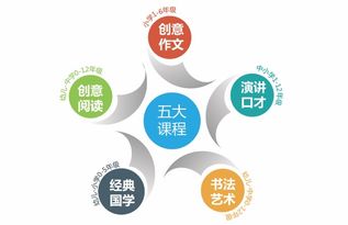 如何通过加查教程创造更多受众，揭秘高效吸粉策略