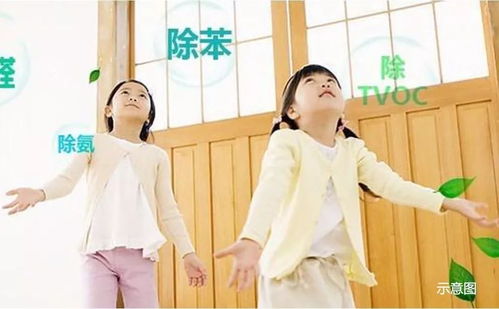 新手必看仔仔里如何轻松上手滑板教程，告别菜鸟！