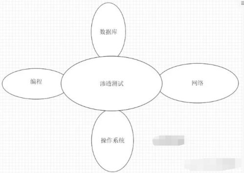如何系统地学习画画教程?从入门到精通的全方位指南 如何系统地学习画画教程?从入门到精通的全方位指南